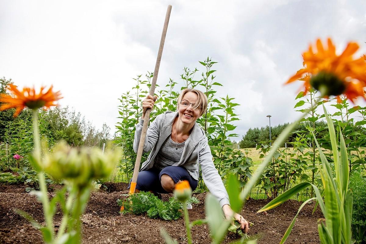 Merike Mandrin uusi viljelypalsta sijaitsee Vantaan Simonkalliossa. Lapsena hän kasvatti ruokaa Viron maaseudulla, jonne vanhemmat muuttivat Laatokan Karjalasta.