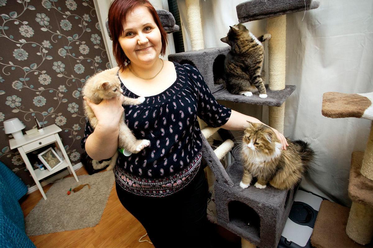 Katja Noron johtama eläinsuojeluyhdistys Rekku Rescue auttaa nimestään huolimatta sekä kissoja että koiria. Sylissä on Pyllerö-kissanpentu. Kuva: Liisa Huima