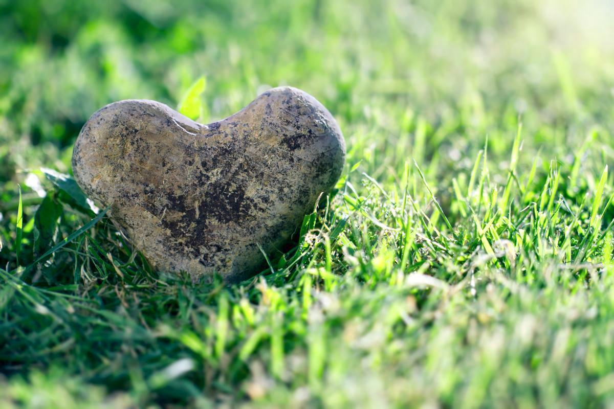Enemmän kuin rakkauden yhteisö kirkko on rakkauden puutteesta kärsivien huoltoasema. Kuva: Rodeo/Anna-Mari West