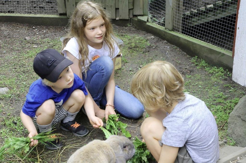 Elliot (vas.), Elle ja Joel Laaksonen sattuivat leikkipuistoon koululaisten navettajengin aikaan. Kolmikko pääsi ruokkimaan kaneja ja lampaita.
