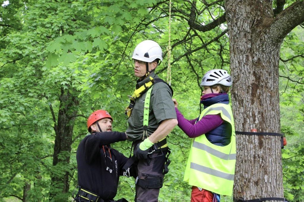 Jos puuta ei pysty hoitamaan maasta käsin, arboristit käyttävät pääasiassa puukiipeilyä. Koriautonosturia käytetään hyvin harvoin.