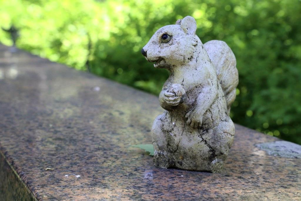 Hautausmaalla voi törmätä oravapatsaiden lisäksi niiden eläviin lajitovereihin. Muita tyypillisiä eläinvieraita ovat rusakot, oravat ja varikset.