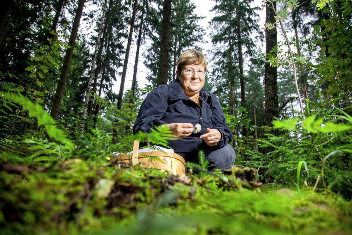 Somesienineuvoja Iina Ollikainen pääsee itse harvoin sienimetsään. Kuva: Sirpa Päivinen