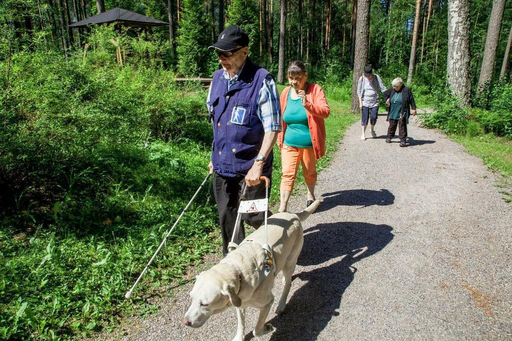 Metsän siimeksessä. Keijo Lehtonen ja Tuula Haataja, takana Anna-­Maija Lind­blad ja Eila Lehtonen kulkivat luonnossa muun muassa opaskoira Qastan johdattamina.