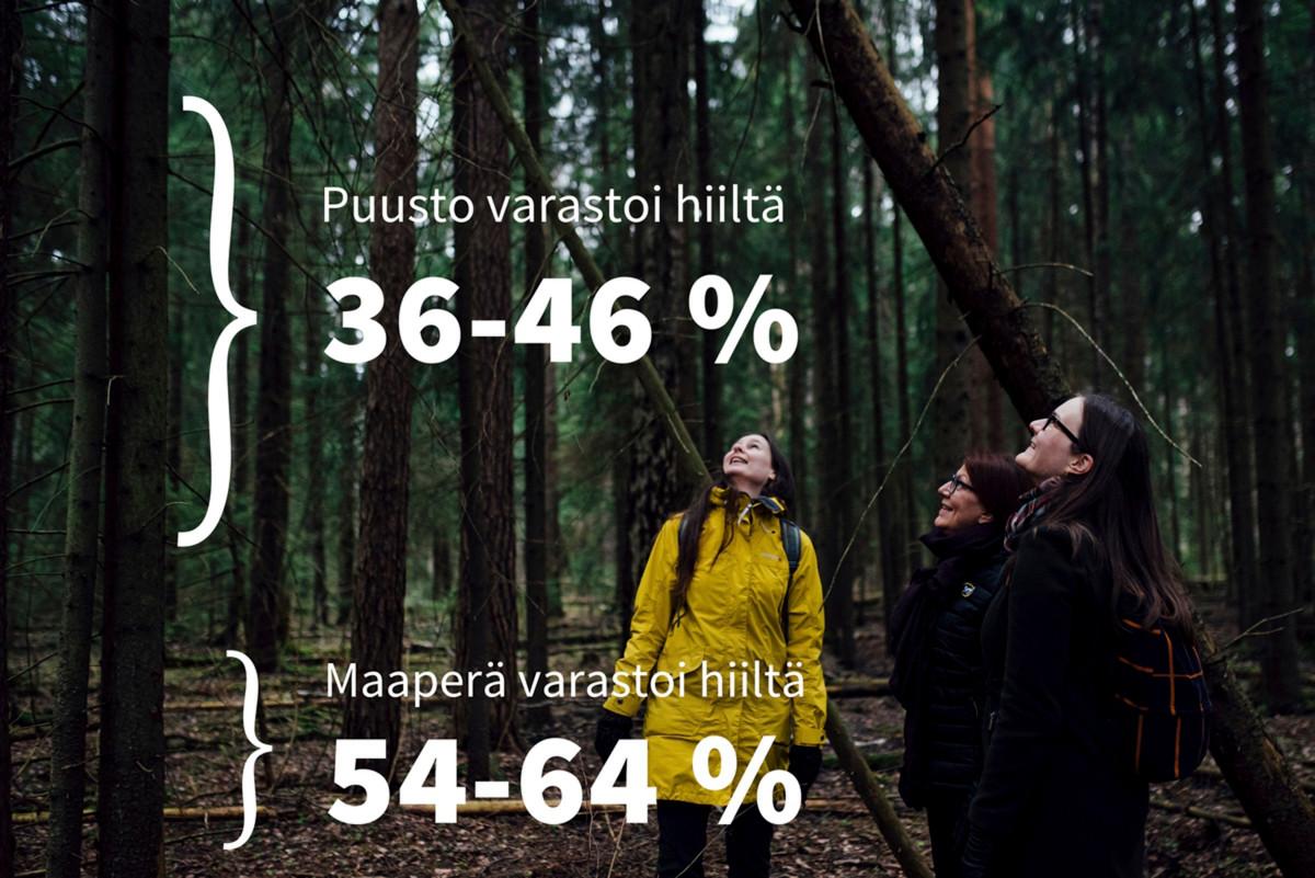 Vantaan seurakuntien metsätilat varastoivat hiilidioksidia puiden biomassaan ja maaperään. Suhde vaihtelee metsästä riippuen. Elina Hienonen, Minna Aho ja Anna Äystö tutkailevat puita Kylmäojan korvessa.