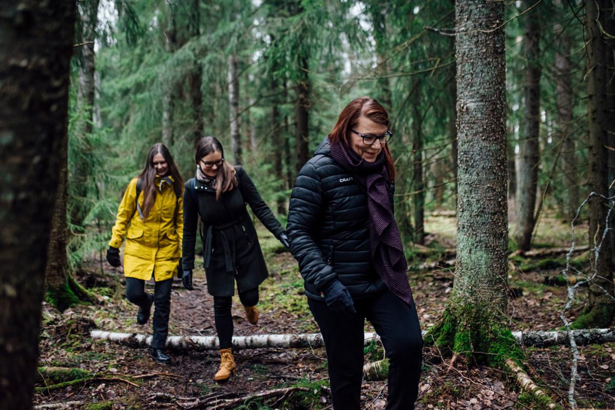 Elina Hienonen, Anna Äystö ja Minna Aho kävelyllä suojellussa korpimetsässä.