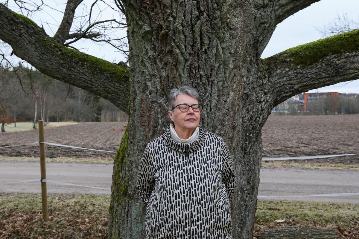 – Elämme asiat ensin ja ymmärrämme ne vasta jälkikäteen, Kaija Ikäheimo sanoo.