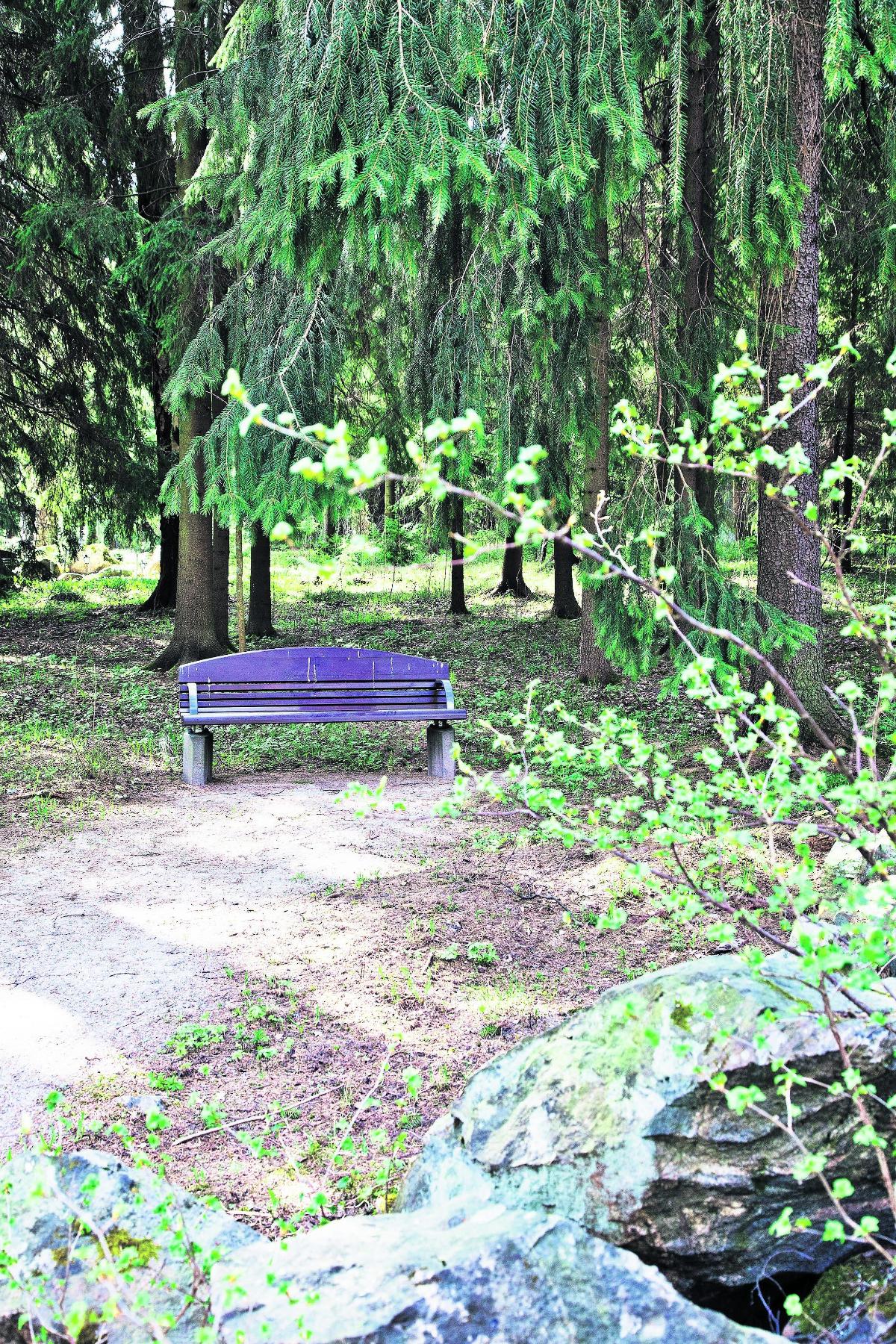 Metsän siimekseen. Maunulan uurnalehdossa, Keskuspuiston kainalossa, vietetään ympäristöpäivää ensi viikon perjantaina. Alue koostuu kodikkaista, puutarhamaisista kokonaisuuksista, ja siellä voi vierailla kuka tahansa luontoon halajava.