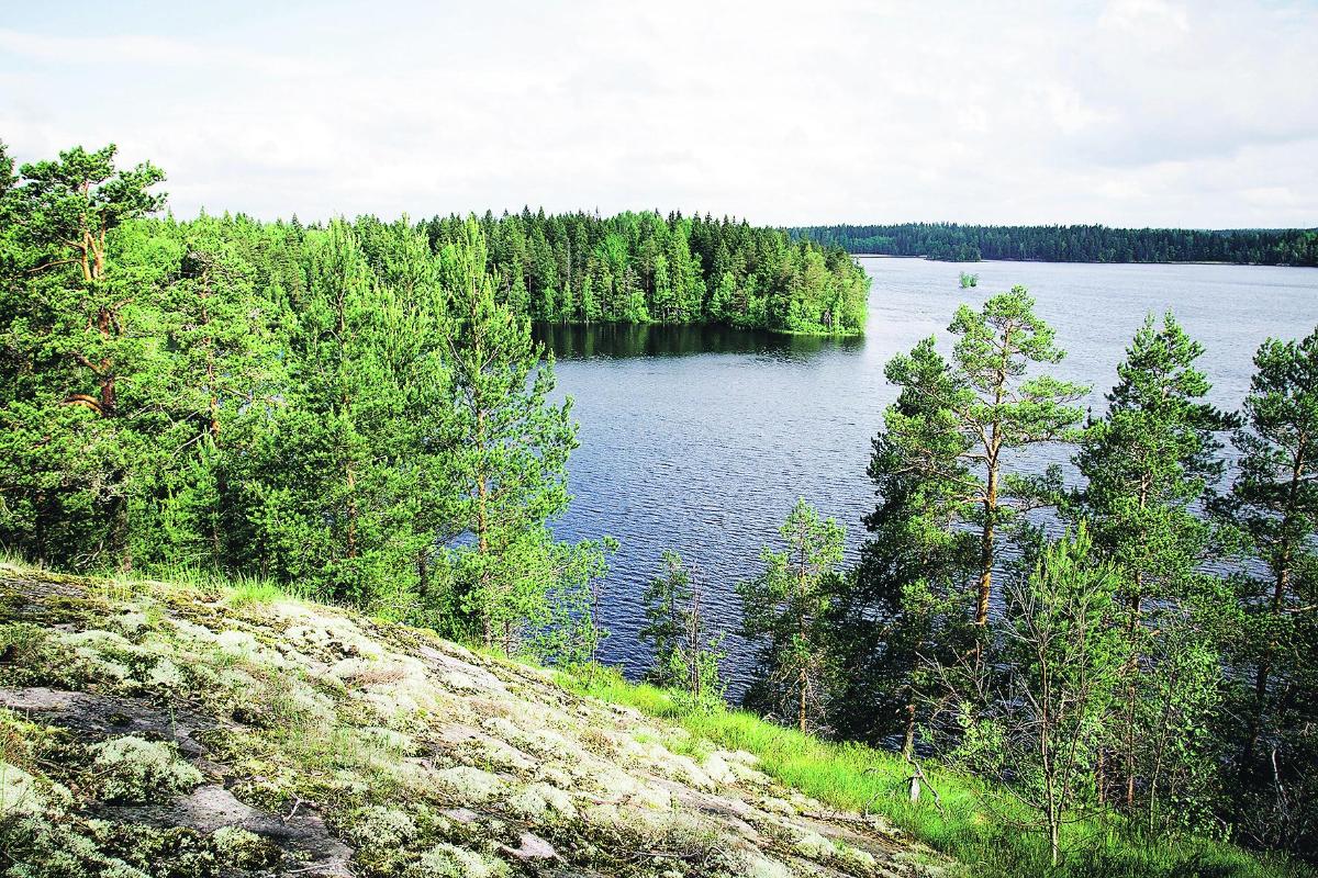 Erämaajärven hiljaisuus. Kun matkustaa Helsingistä junalla Kirkkonummelle ja asemalta kuusi kilometriä Meikon luonnonsuojelualueelle, niin edessä ovat tällaiset maisemat.