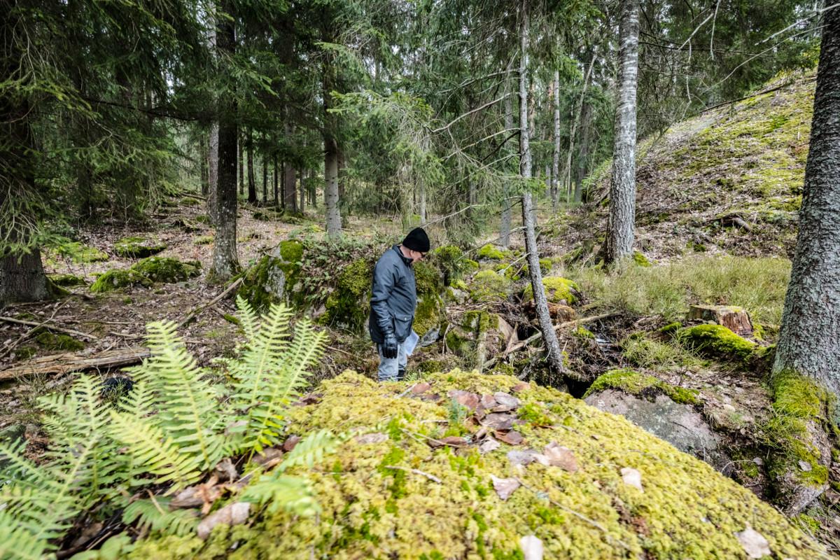 Espoon seurakuntayhtymän hautaustoimen työnjohtaja Asko Leinoselle metsä on tuttu.