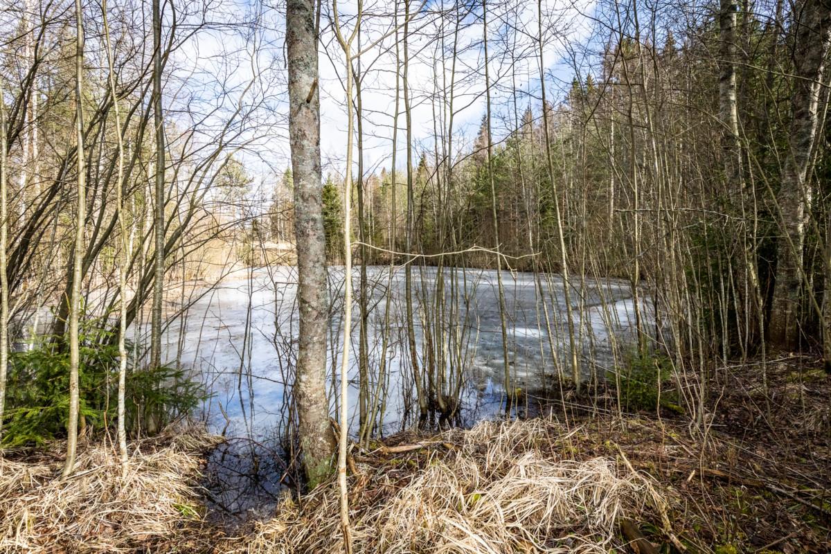 Lampi sisältyy suojeltavaan alueeseen.