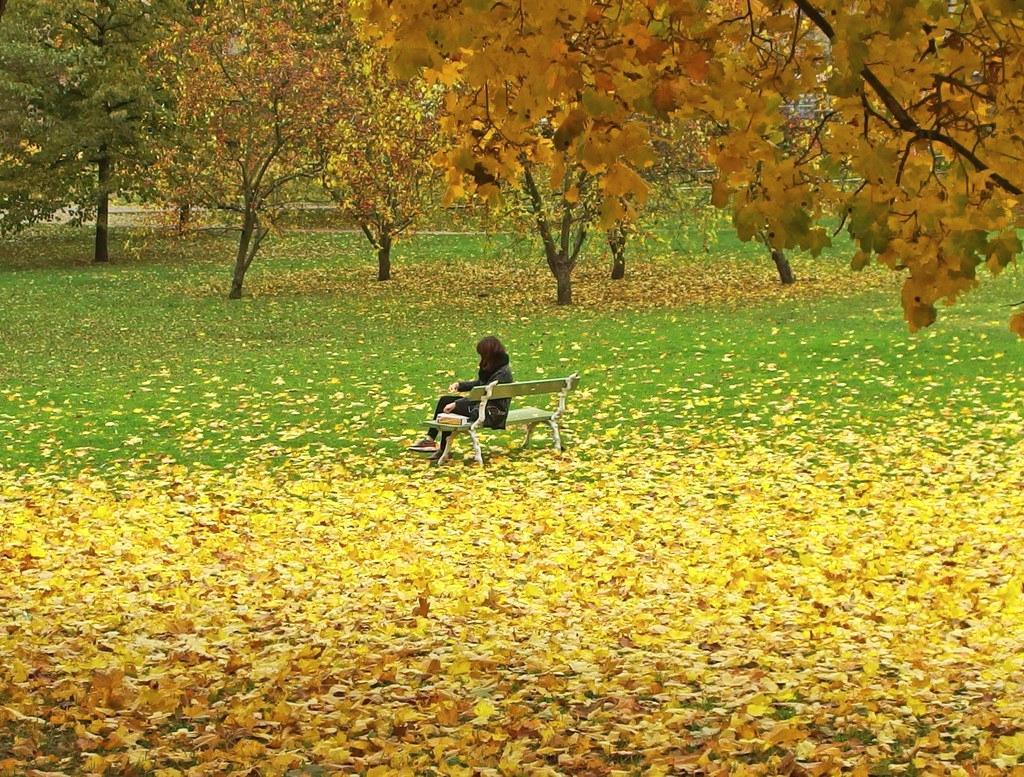 Hiljaista tunnelmaa. Marit Henriksson kuvasi rauhallisen hetken Hesperian puistossa. 