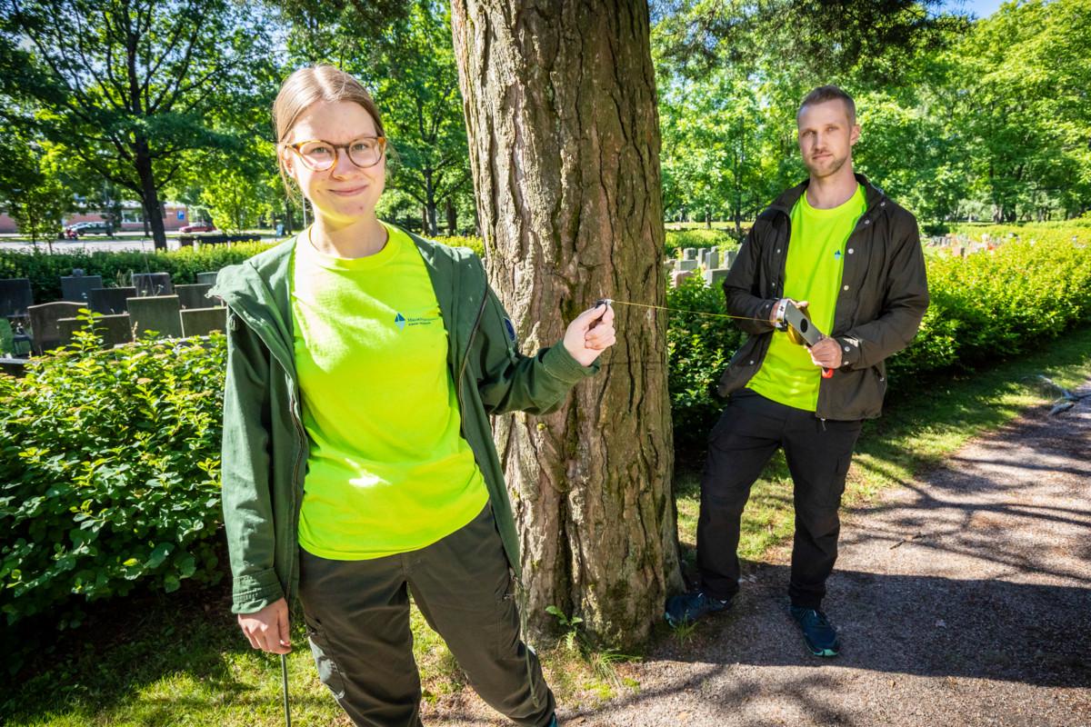Elina Kettunen ja Tommo Henttonen katsovat mittanauhalla puun juurelta oikean etäisyyden, josta puun korkeuden voi mitata hypsometrillä.