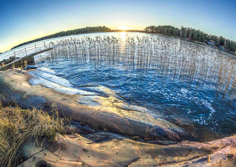 Meri lämpenee. Särki- ja ahvenkalat ovat hyötyneet ilmastonmuutoksesta. Sen sijaan siian lisääntyminen vaarantuu tulevaisuudessa. Kuva on otettu Espoon Soukanniemessä 16. marraskuuta.