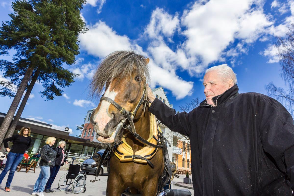 Joel Vesalainen kävi juttelemassa Kiripassille, joka on Kaunialan sairaalan kummihevonen. Hän pääsi myös ajelulle Kiripassin kyydissä.