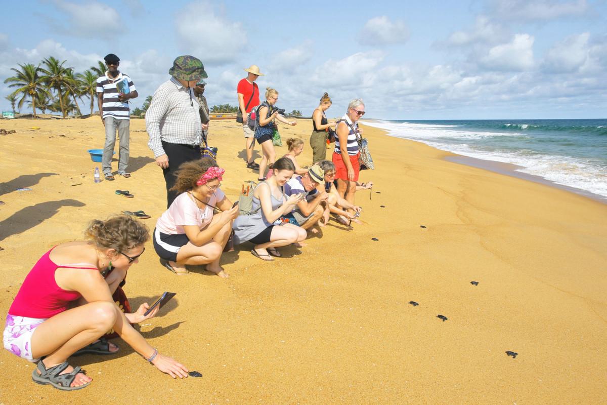 Suomalaiset matkalaiset päästävät mereen etelänbastardikilpikonnan poikasia Grand Popon rannalla Beninissä. Kilpikonnia yritetään suojella muoviroskalta ja pedoilta paikallisessa hankkeessa.