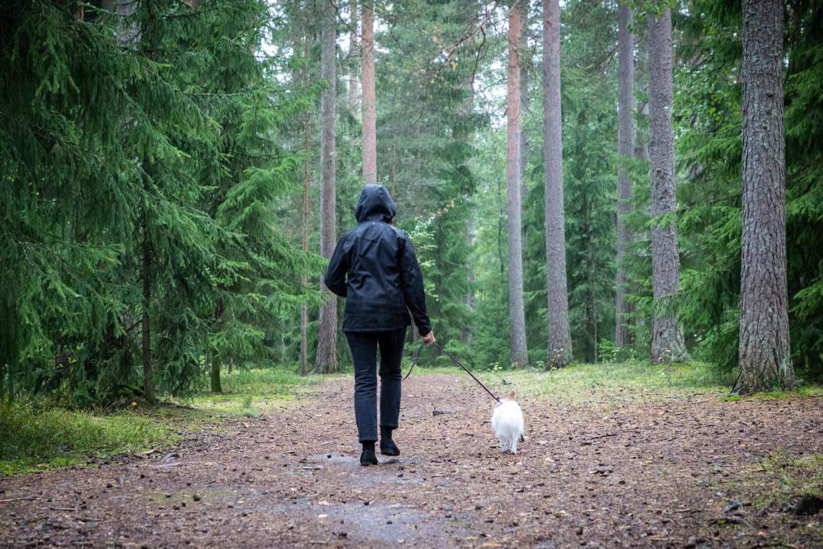 Leena Vilkka kulkee päivittäin metsässä. Siellä hän tuntee olevansa täysin kotona.