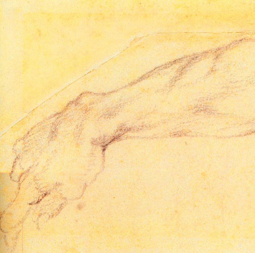 Michelangelon käsivarsiharjoitelma Sikstuksen kappelia varten.