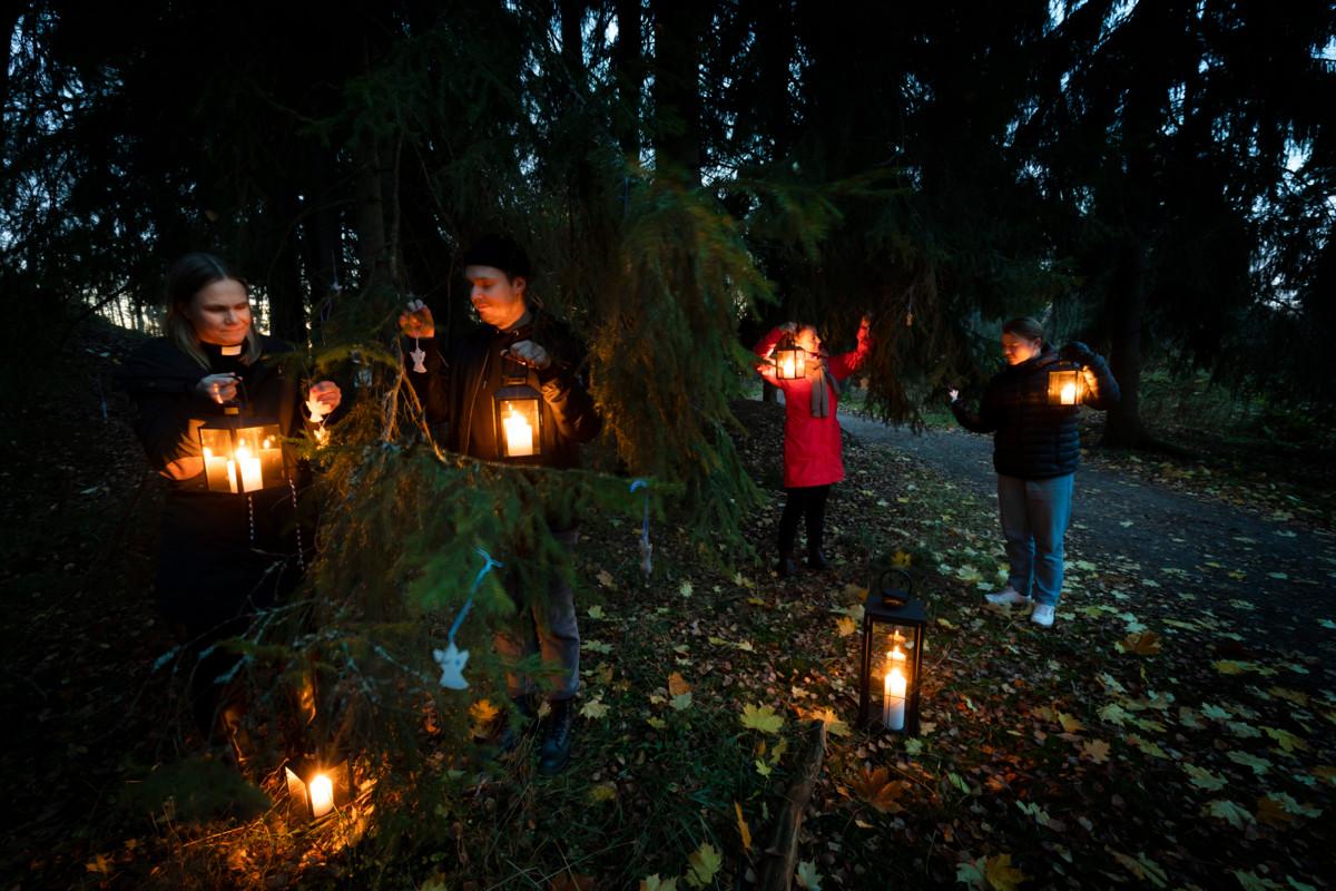 Lauttasaaren seurakunnan työntekijät Annette Markkunen (vas.), Joel Niemi, Taina Viherkari ja Eemeli Monni virittelevät lyhtyjä Särkiniemen ulkoilualueella. 