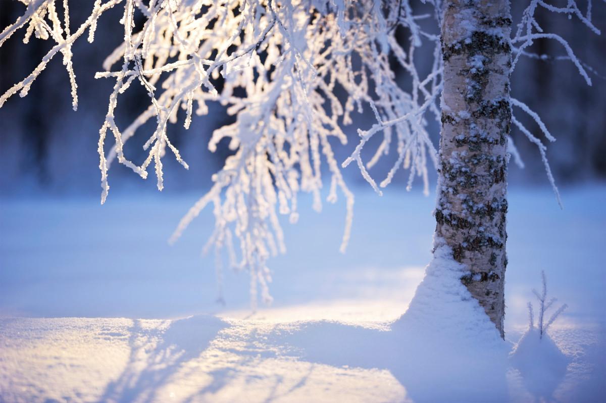 Luonnon seuraaminen oli monelle tärkeää ja siellä liikkumisesta luopuminen vaikeaa. Kuva: Erkki Makkonen/iStock