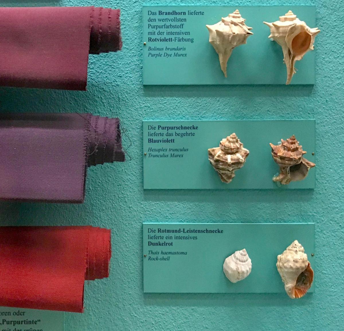 Eri lajisten kotiloiden eritteistä saatiin antiikin aikana erilaisia purppuran sävyjä arvokkaiden kankaiden värjäämiseen.