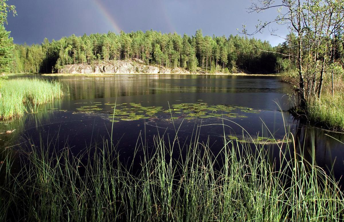 Nuuksion kansallispuisto.