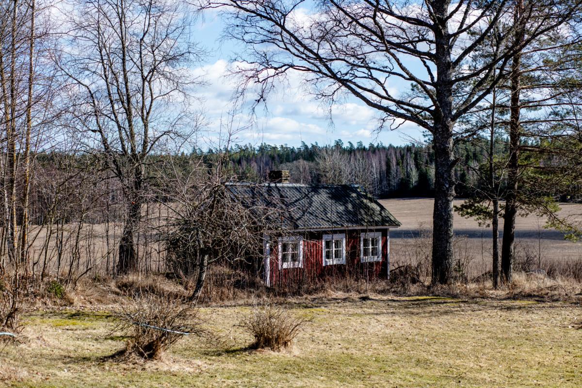 Sirkku Varjosen ja seinänaapurien yhteinen sauna sijaitsee pihan perällä.
