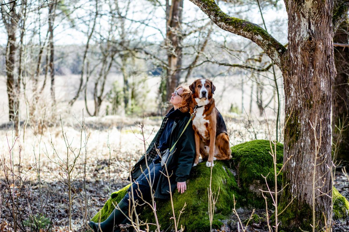 – Meillä on ollut useampi loma-ajan alivuokralainen, joka onkin halunnut jäädä pidemmäksi aikaa, kun koira on ollut niin onnellinen kulkiessaan metsissä, Sirkku Varjonen kertoo.