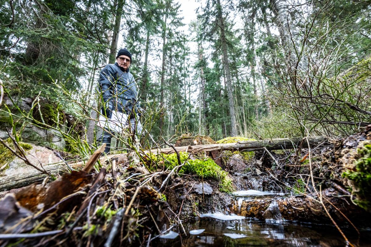Espoon seurakuntien hautaustoimen työnjohtaja Asko Leinonen kävi toukokuussa 2020 Velskolassa, josta seurakuntayhtymä päätti suojella 50 hehtaaria omistamaansa metsää.