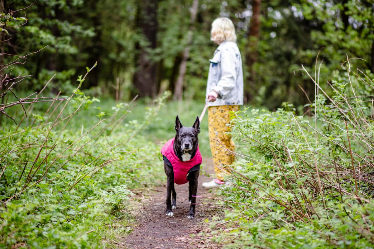 32-vuotias graafinen suunnittelija Virpi lenkkeilee Misa-koiransa kanssa Vantaalla. Hänen perheeseensä kuuluu myös puoliso. Lasta on harkittu.