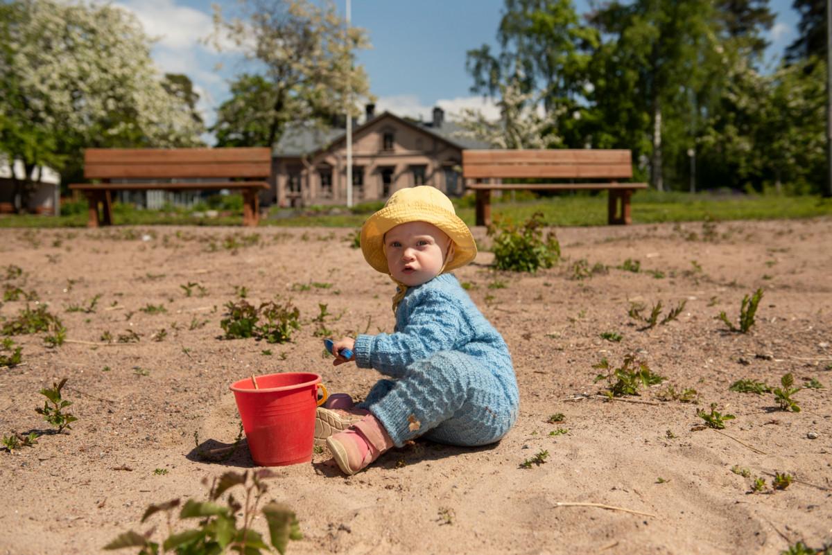 Vuoden vanha Aila nautti saaren rantahiekasta. Taustalla näkyy Mustasaaren päärakennus, jolla on ikää yli 130 vuotta.