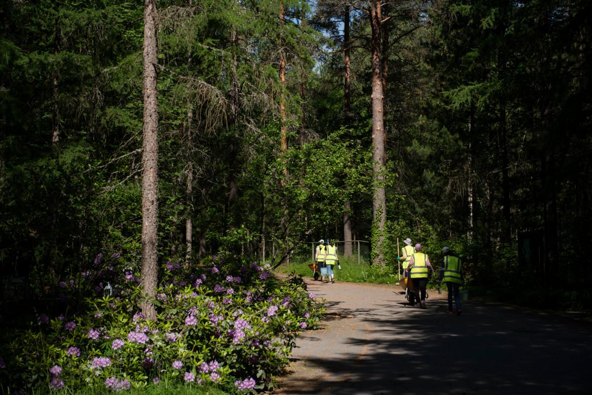 Ammattiopisto Liven opiskelijat ja ohjaajat kulkevat keltaisissa työliiveissään kohti päivän hommia.