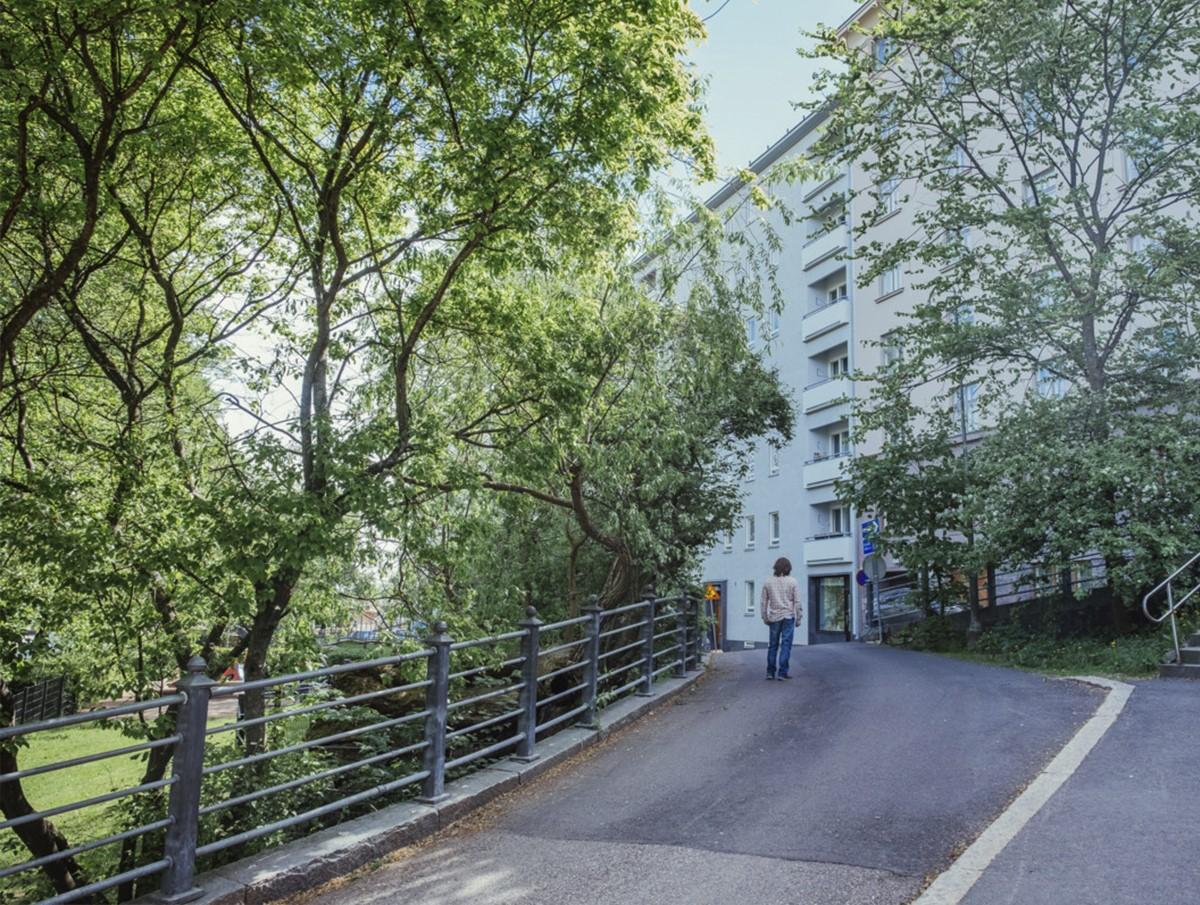 – Salava elää nyt suunnilleen pyhällä hengellä, Helsingin puidenhoidon työnjohtaja Sami Kiema kertoo. Kuva: Antti Rintala