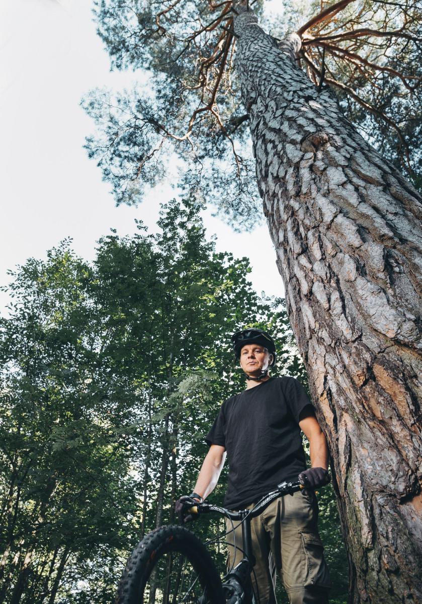 Olli Sinivaara löysi Helsingin suurimman männyn Laajasalosta tutustuessaan kaupungin luonnonmuistomerkkeihin.