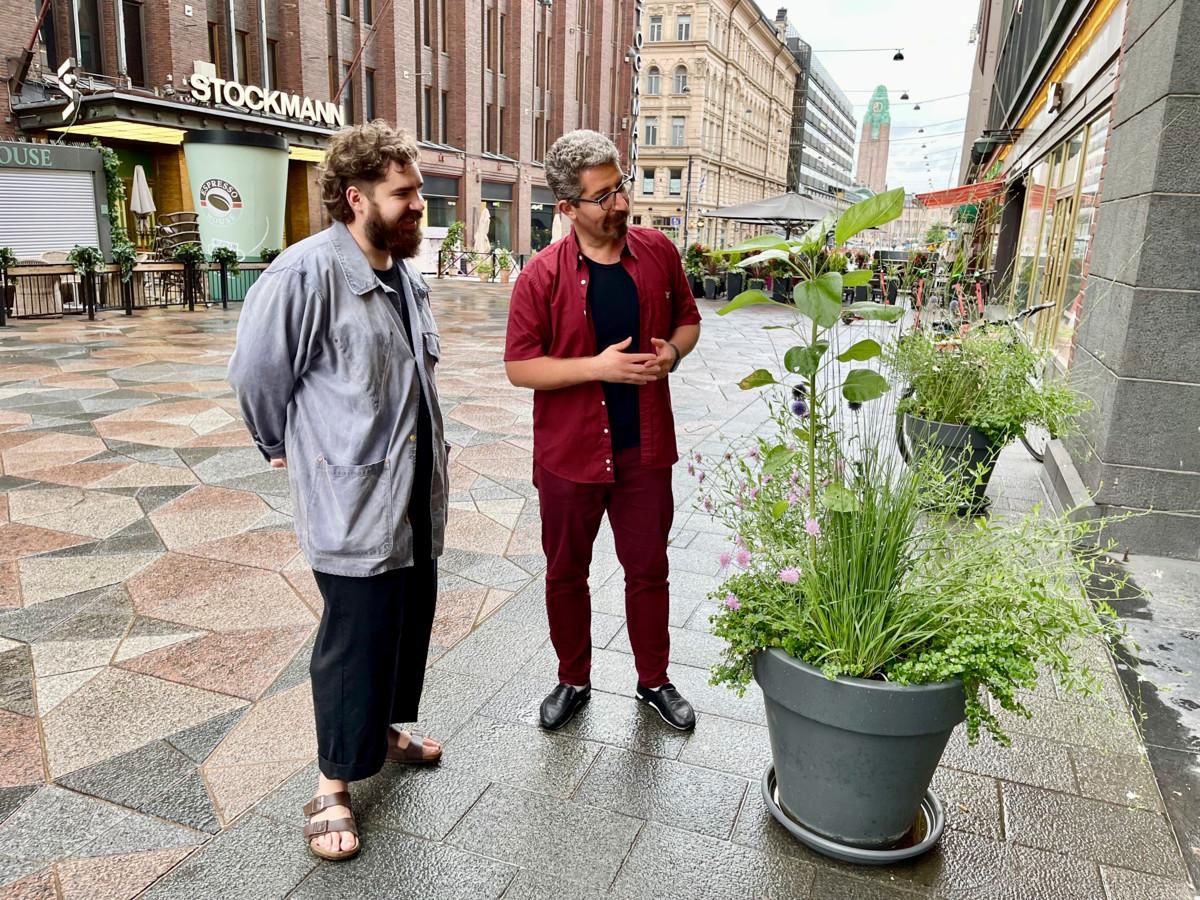 Rasoul Khorram keskustelee ohikulkijan kanssa auringonkukista, luonnosta sekä Suomen ja Kurdistanin kulttuureista Helsingin Keskuskadulla.