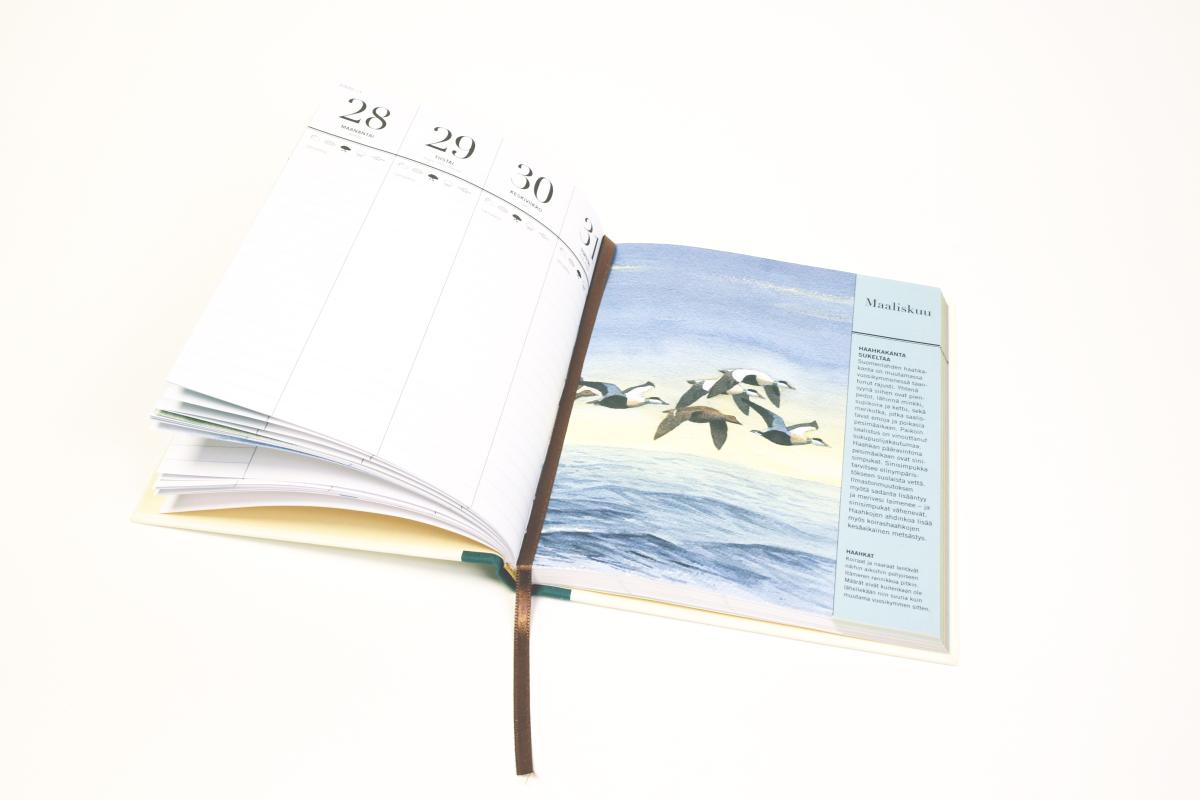 Lintupäiväkirjaan voi kirjata omat tekemiset ja lintuhavainnot.