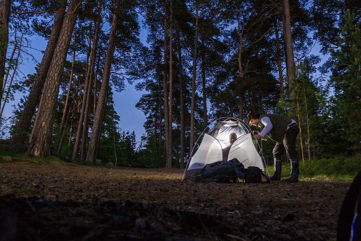 Mäntymetsässä on suojaisa aukio, jonne on hyvä pystyttää teltta.