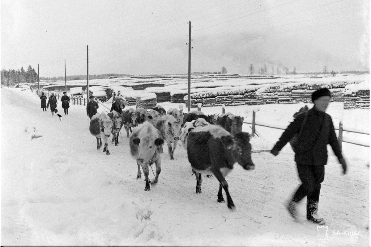 Evakuointia Karjalan kannaksella joulukuussa 1939.