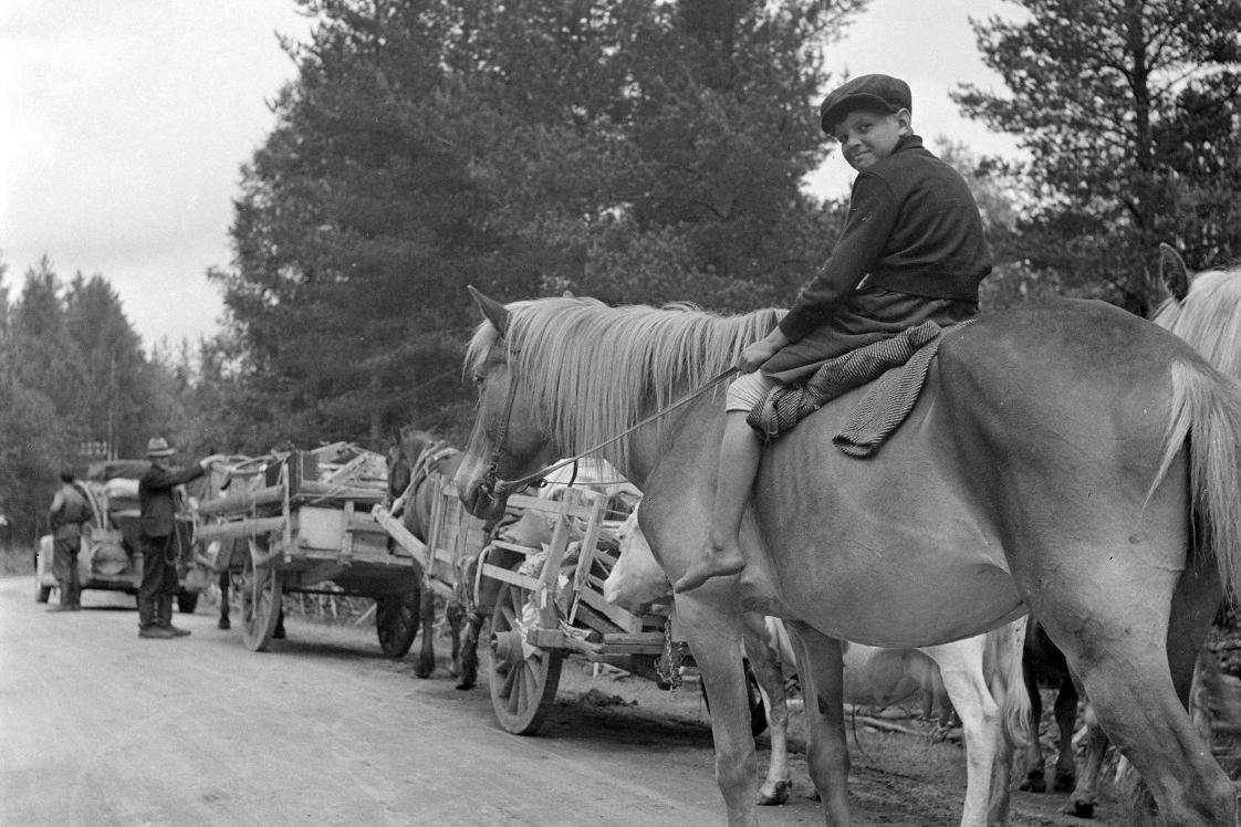 Karjalaispoika hevosen selässä evakkomatkalla vuonna 1944.