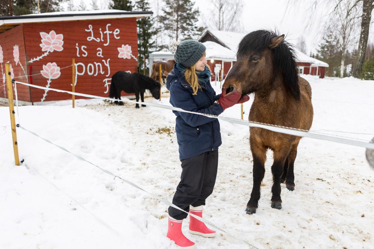 Milla Paloniemen Ponifarmiksi kutsumalla tilalla voi viettää aikaa rennosti hevosten parissa.