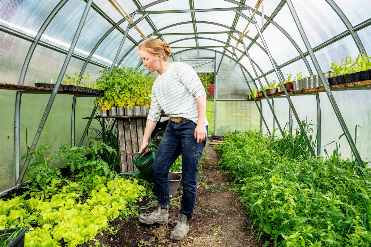 PieniKylä-maatilan vastuuviljelijä Melina Heimsch haaveili taidealasta ja valmistui tradenomiksi. Sitten maanviljelys vei mukanaan.