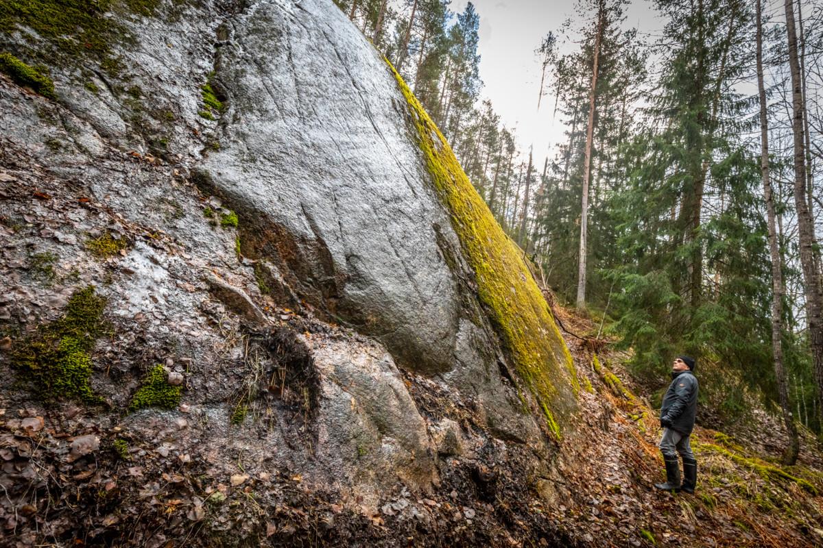 Espoon seurakuntayhtymässä suojellaan 50 hehtaaria monimuotoista metsää. Kuvassa hautaustoimen työnjohtaja Asko Leinonen Velskolassa. Kuva: Esko Jämsä