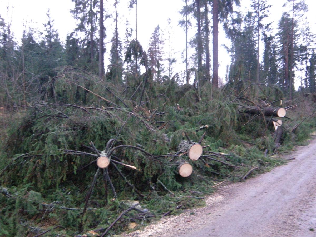 Kuva: Asko Leinonen