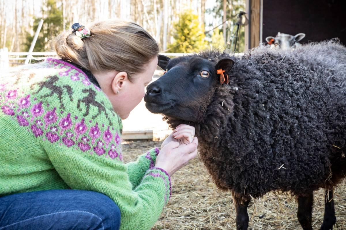 Ansa on herkkä ja arka lammas, joka reagoi uusiin ihmisiin pelokkaasti ja joskus hölmösti. Sen kanssa ahdistunut lapsi tai nuori saa harjoitella esimerkiksi jännittävissä tilanteissa toimimista: ”Kerrankin paikalla on joku, joka reagoi vielä pelokkaammin ja hermostuneemmin kuin minä.” Ansan hoitaminen tarjoaa turvallisia yhdessäolon hetkiä.