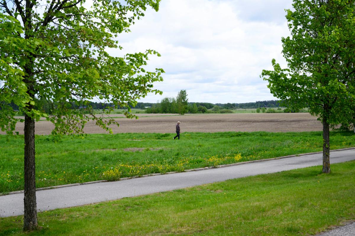 Näkymä Varian rakennuksen takapihalta pellon suuntaan. Golfkenttä tulee kuvan ulkopuolelle vasemmalle.