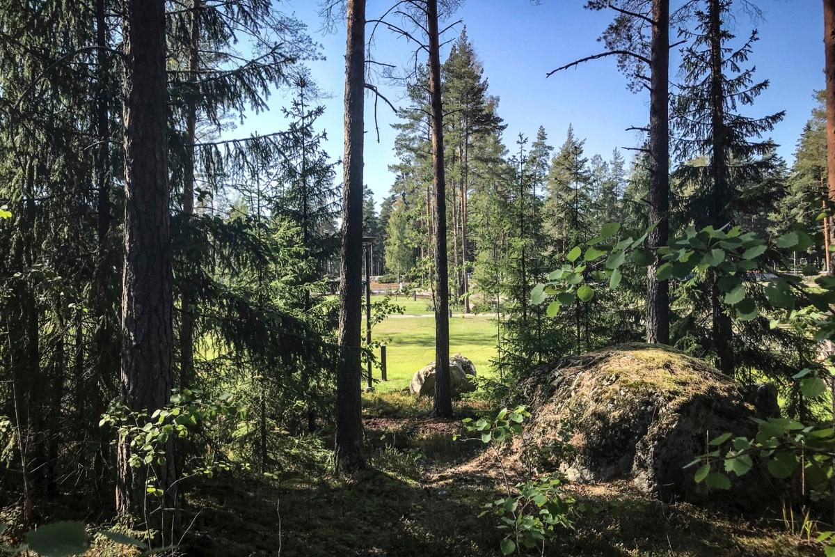 Hautausmailla on arkkuhautaukseen ja uurnahautaukseen tarkoitettuja alueita sekä sirottelualueita ja arkkulehtoja. Kuva Vantaan seurakunnat/Meri-Anna Paloniemi