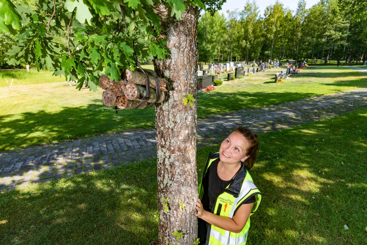 Hautausmaalle on perustettu hyönteishotelleja monimuotoisuuden edistämiseksi.