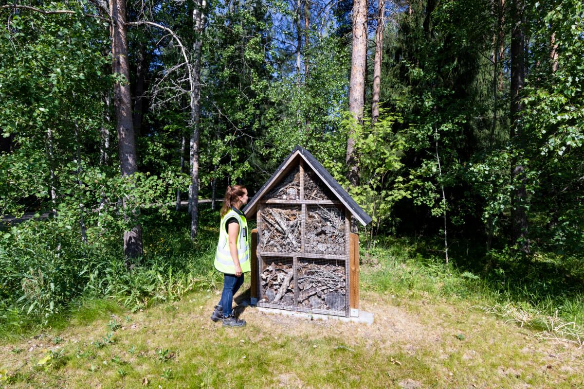 Kellonummen hautausmaalla on useita hyönteishotelleja.