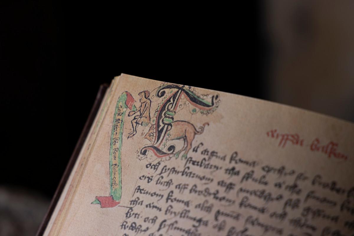 Kuva on 1400-luvun alussa Tukholmassa valmistetusta Codex Aboensis -lakikäsikirjoituksesta. Marginaaliin on piirretty tarpeillaan kyykkivä mies, jota sika häiritsee. Ruotsinkielisessä puhekuplassa lukee kursailemattomasti ”Olen paskalla, ajakaa sika pois”.