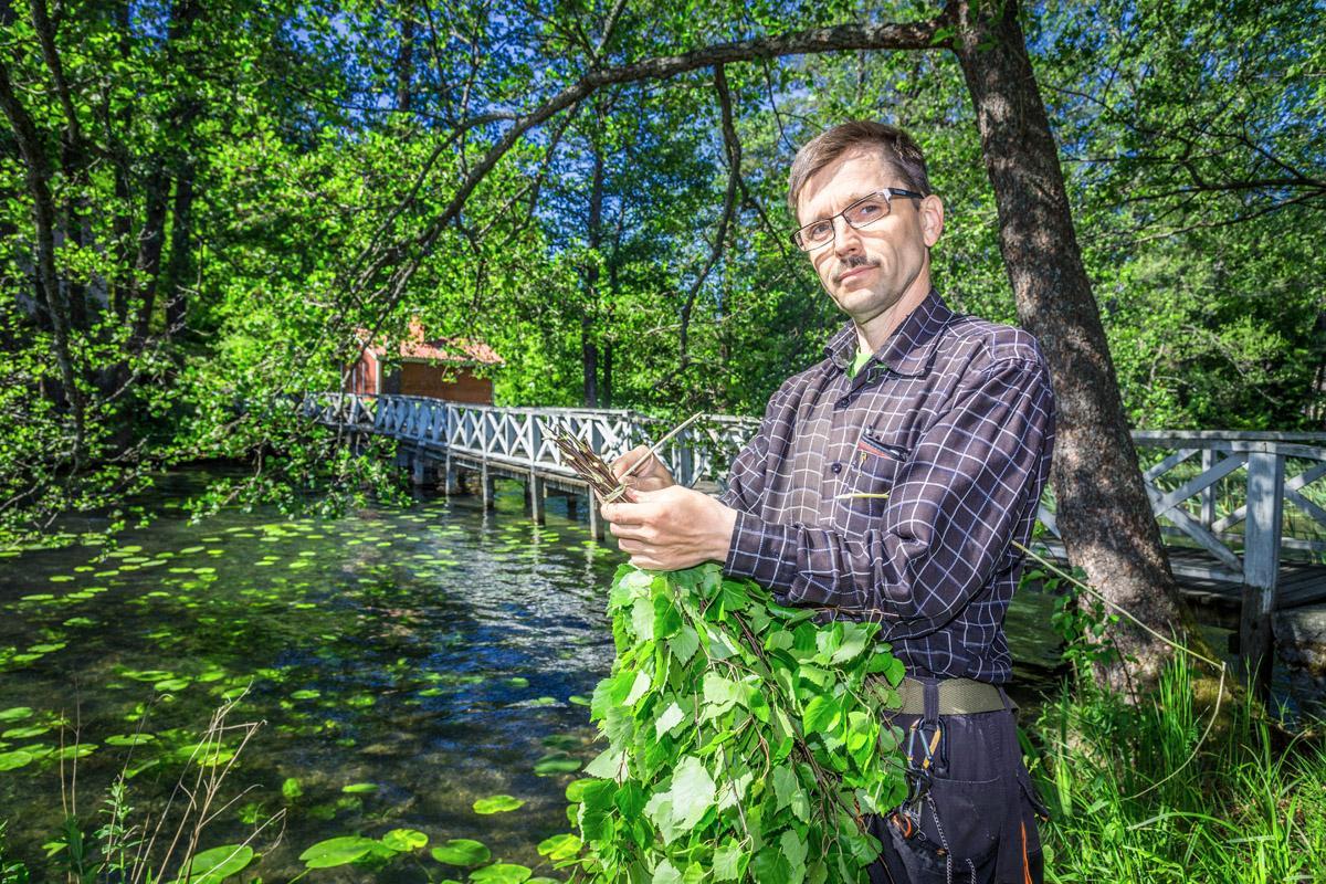 Kiinteistönhoitaja Ando Kütismaa valmistautuu Hvittorpin juhannusjuhlaan tekemällä saunavihtoja.